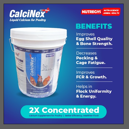 WhatsApp Image 2025-05-09 at 10.49.22 AM.jpeg